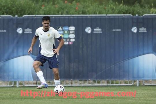 pg电子在线下载-意甲足球俱乐部专属胸针设计与纪念价值