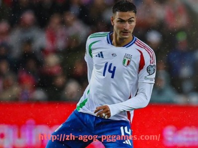 pg电子在线下载-关于NBA火箭队的专业书籍推荐