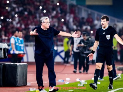 pg电子在线下载-2025世俱杯现场观众人数统计数据及球迷分布分析